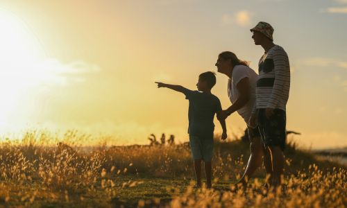 Family Fun